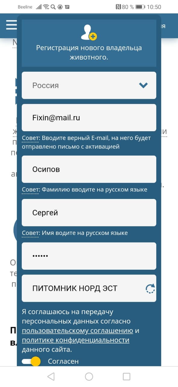 Активное действие файл можно удалить собака бегает