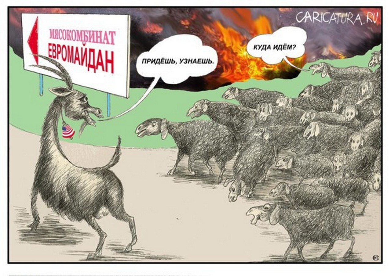 Посмотри где есть. Баран карикатура. Стадо Баранов ведут на убой.