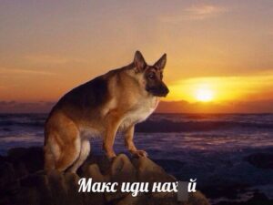 siv7gv7cnuw